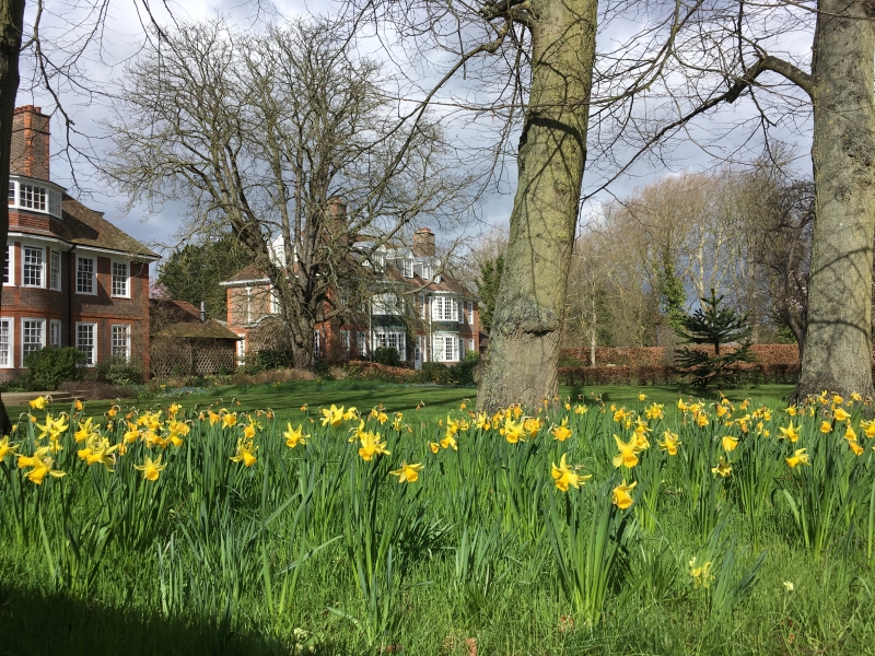 Trinity College Fellows' Garden